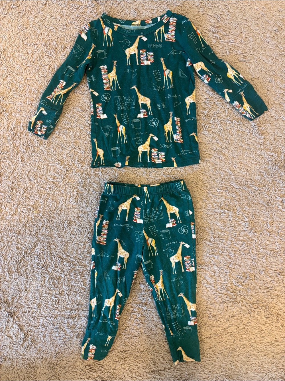 Posh Peanut Hunter Green Giraffe Pajama Set. Size 12-18 mos. Unisex. Like New.